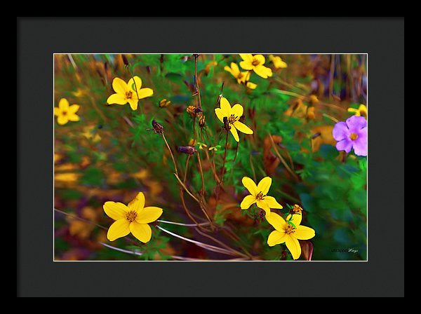 Framed Print - Fleur