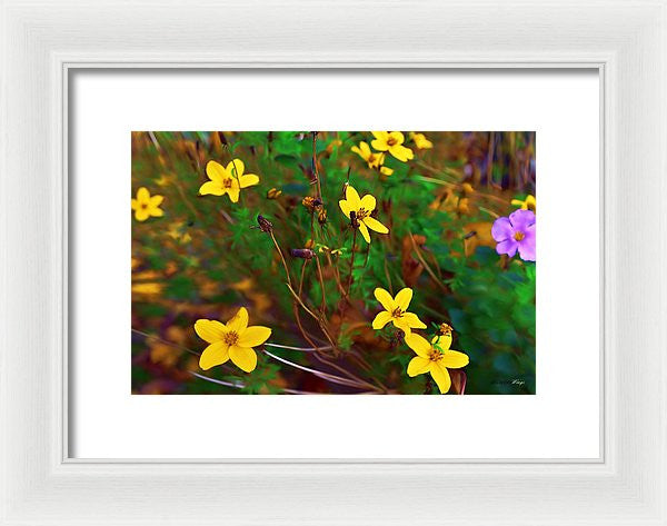 Framed Print - Fleur