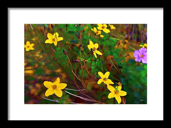 Framed Print - Fleur
