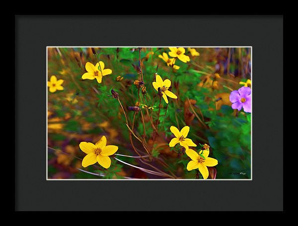 Framed Print - Fleur