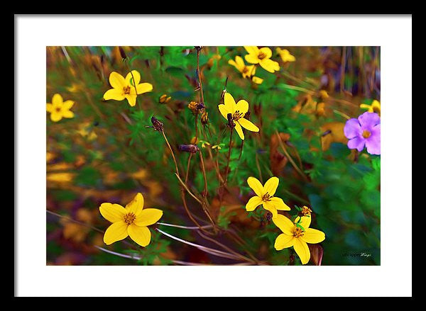Framed Print - Fleur