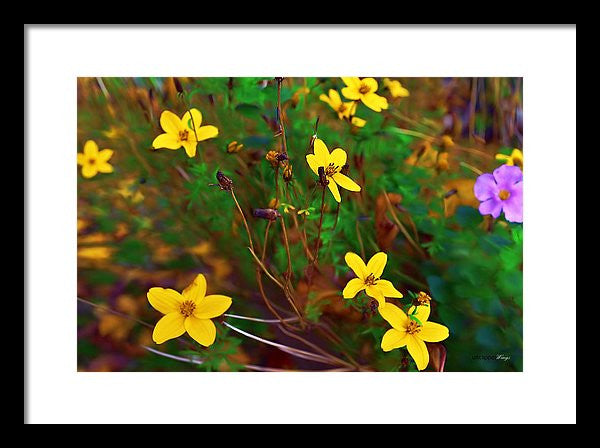 Framed Print - Fleur