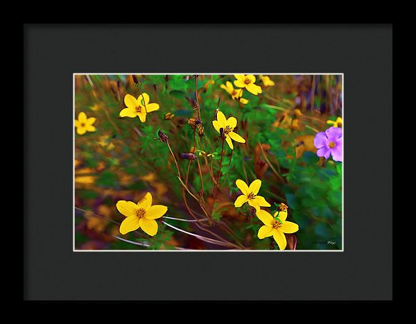 Framed Print - Fleur