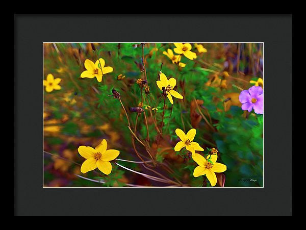 Framed Print - Fleur