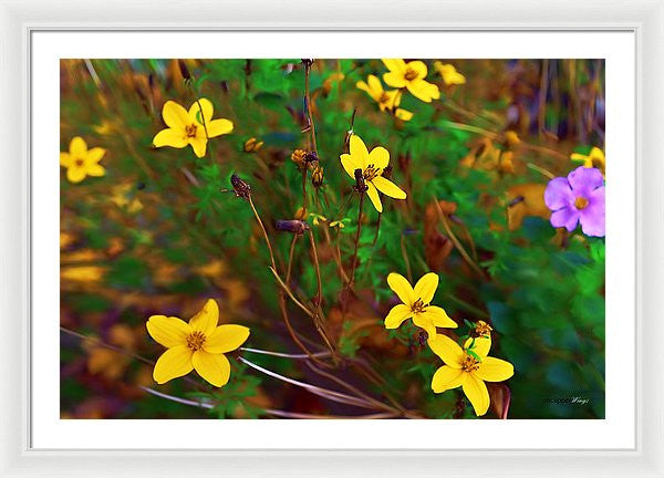 Framed Print - Fleur