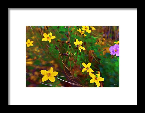 Framed Print - Fleur