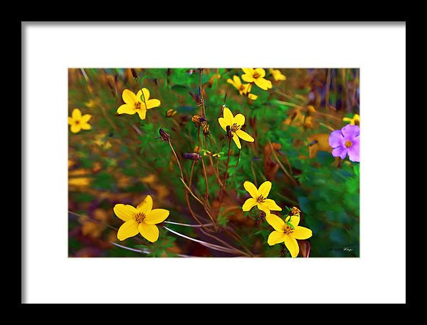 Framed Print - Fleur