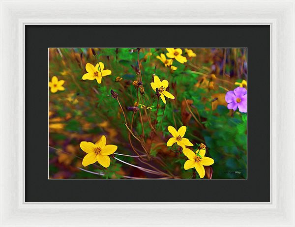 Framed Print - Fleur