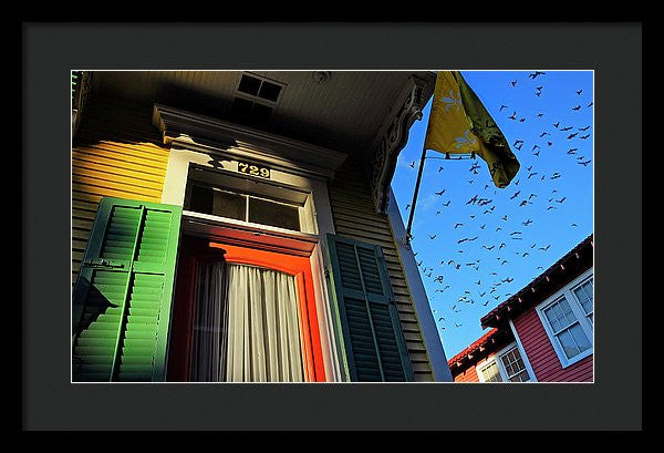 Framed Print - The Birds