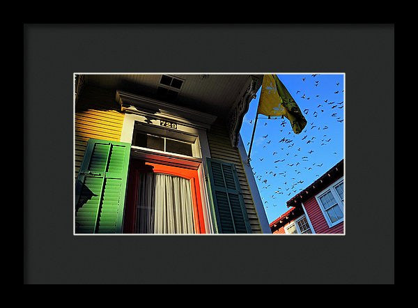 Framed Print - The Birds