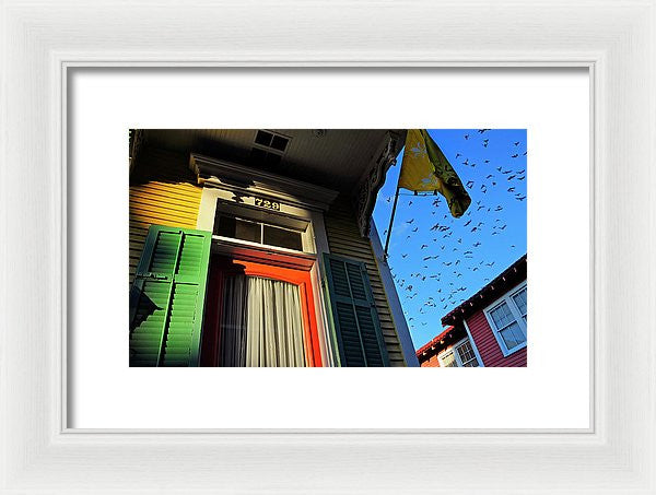 Framed Print - The Birds