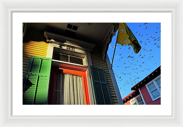 Framed Print - The Birds