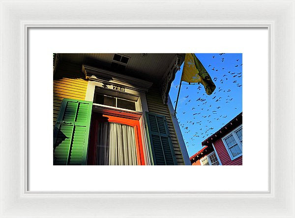 Framed Print - The Birds