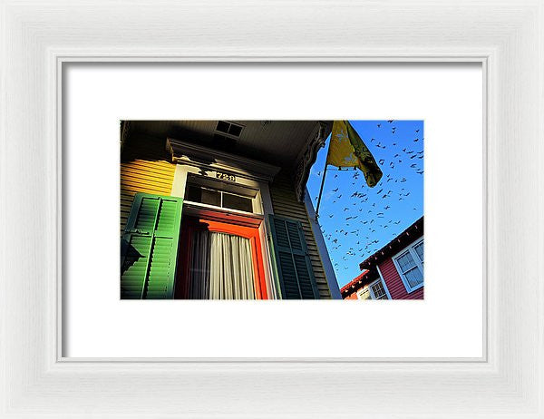 Framed Print - The Birds