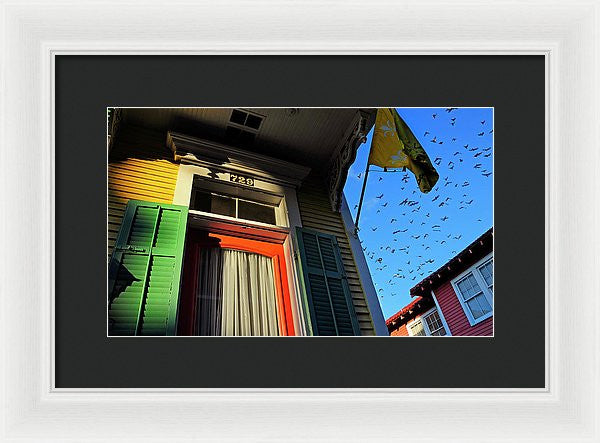 Framed Print - The Birds