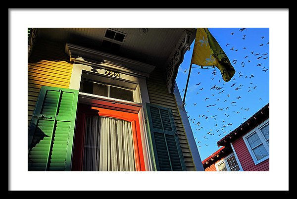 Framed Print - The Birds
