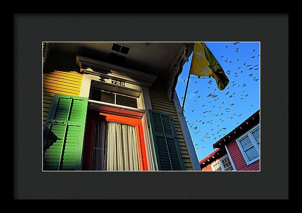 Framed Print - The Birds