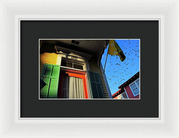 Framed Print - The Birds