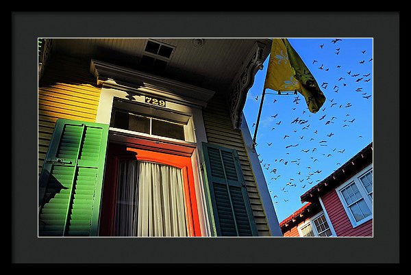 Framed Print - The Birds