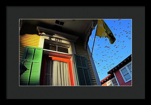 Framed Print - The Birds