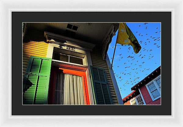 Framed Print - The Birds