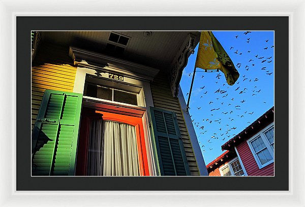 Framed Print - The Birds