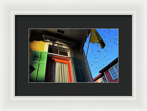 Framed Print - The Birds