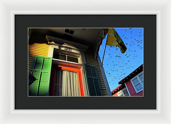Framed Print - The Birds