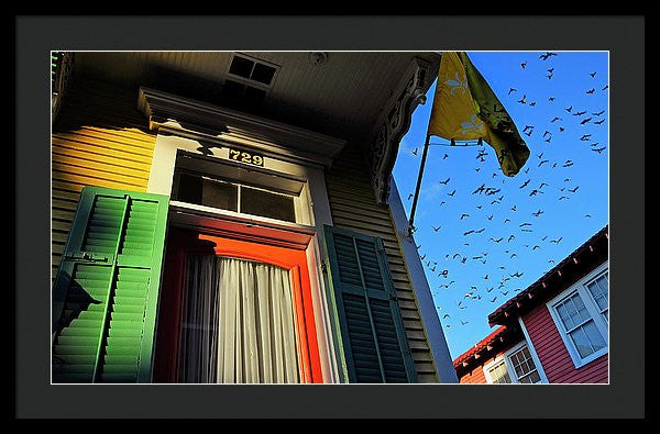 Framed Print - The Birds