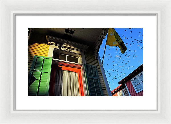 Framed Print - The Birds