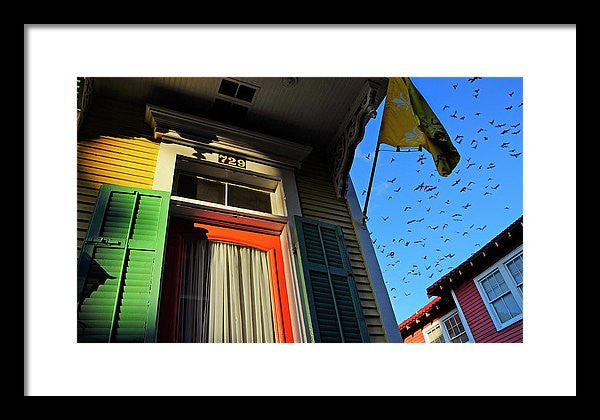 Framed Print - The Birds
