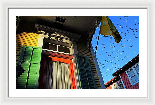 Framed Print - The Birds