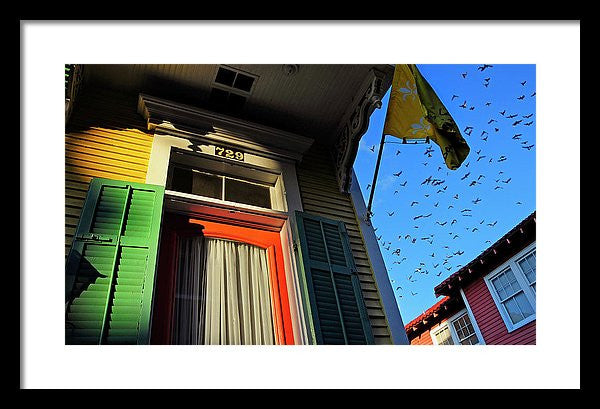 Framed Print - The Birds