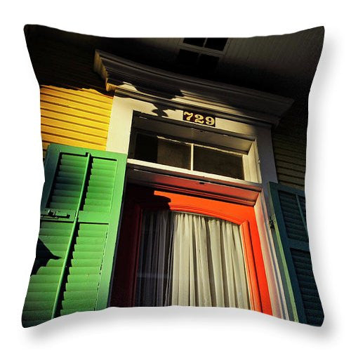 Throw Pillow - The Birds