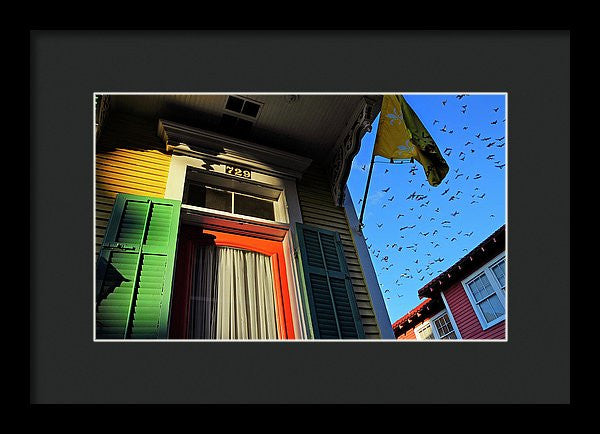 Framed Print - The Birds