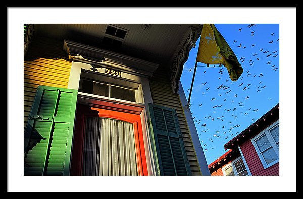 Framed Print - The Birds