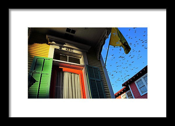 Framed Print - The Birds