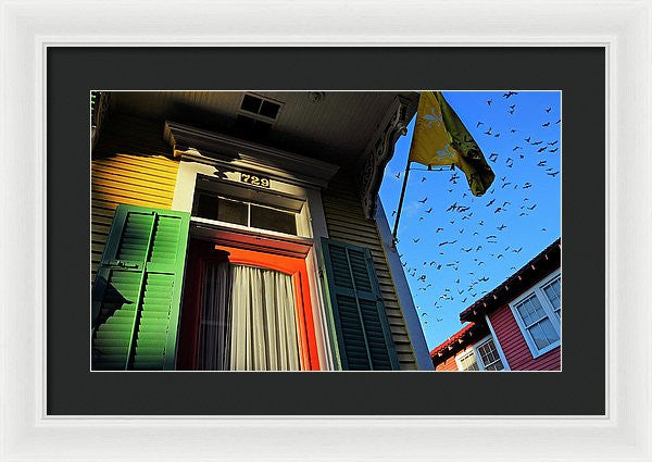 Framed Print - The Birds