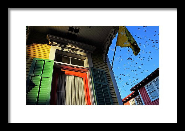 Framed Print - The Birds