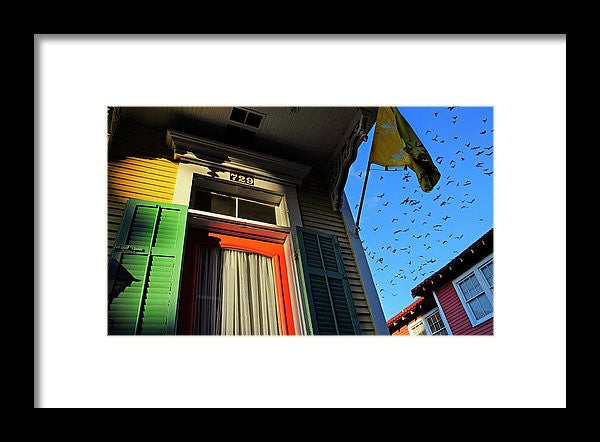 Framed Print - The Birds