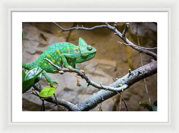 1067998430 - Framed Print