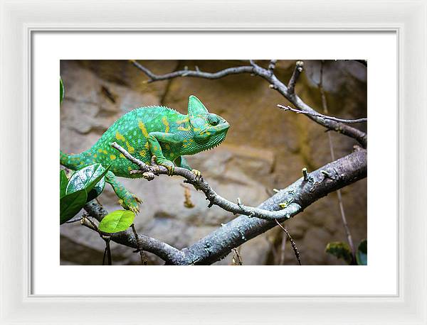 1067998430 - Framed Print