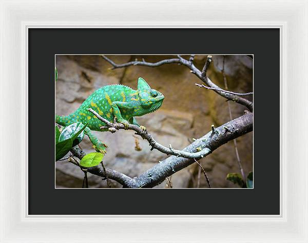 1067998430 - Framed Print
