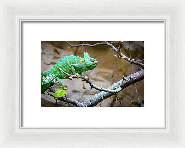 1067998430 - Framed Print