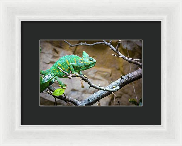 1067998430 - Framed Print