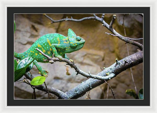 1067998430 - Framed Print