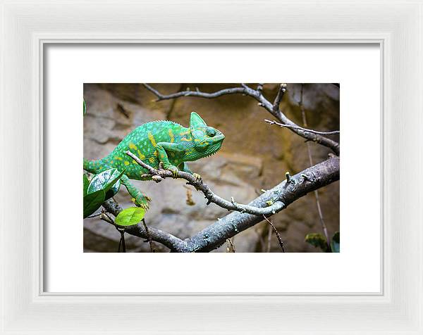 1067998430 - Framed Print