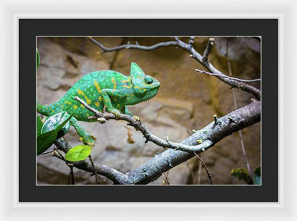 1067998430 - Framed Print