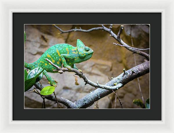 1067998430 - Framed Print
