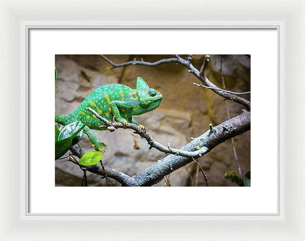 1067998430 - Framed Print